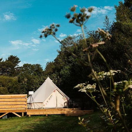 Willow Valley Glamping Bude Exteriör bild