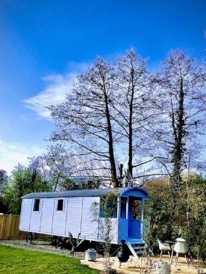 Willow Valley Glamping Bude Exteriör bild