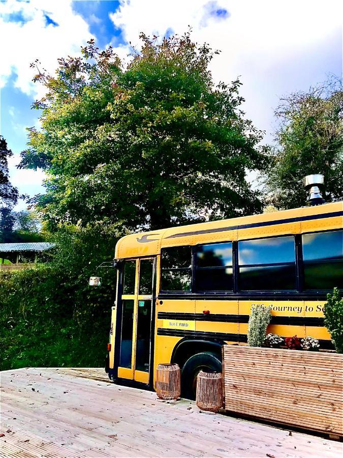 Willow Valley Glamping Bude Exteriör bild
