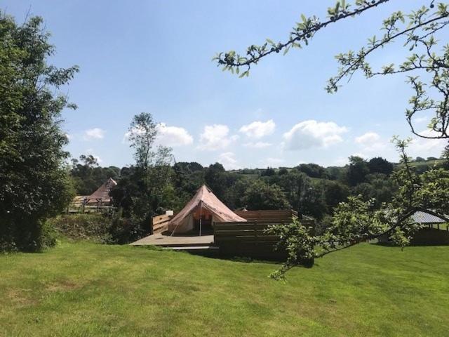 Willow Valley Glamping Bude Exteriör bild